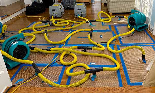 Professional Burst Pipe Water Damage technician working in Wilmington, OH